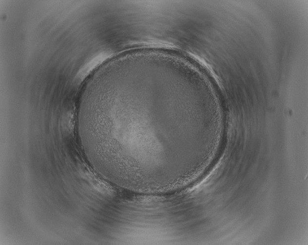 X0000089881163200706281342