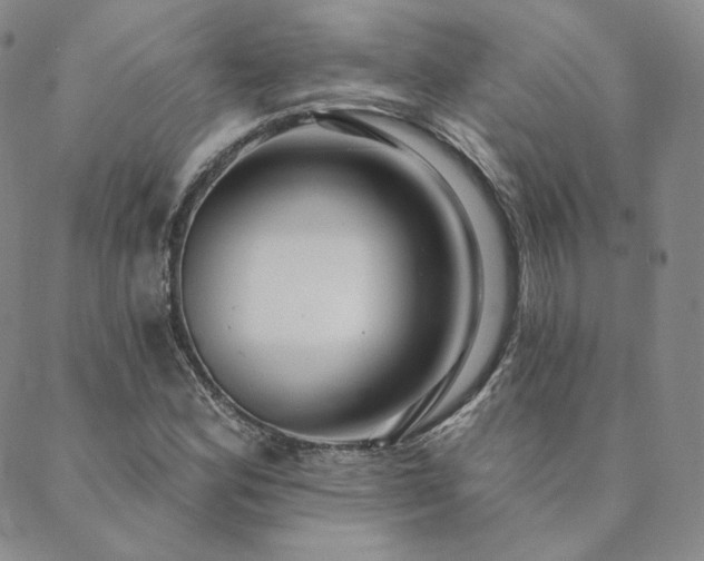 X0000089881164200706281342