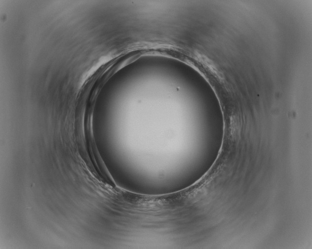 X0000089881165200706281342