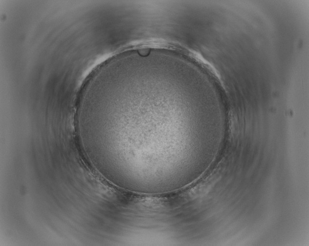 X0000089881166200706281342