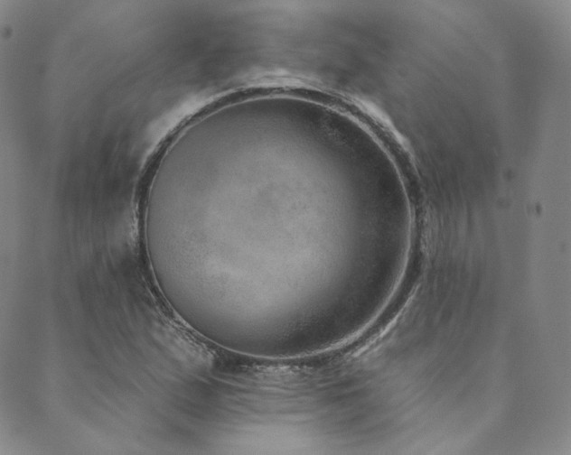 X0000089881167200706281342