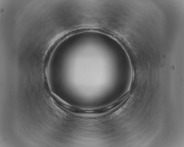 X0000089881168200706281342