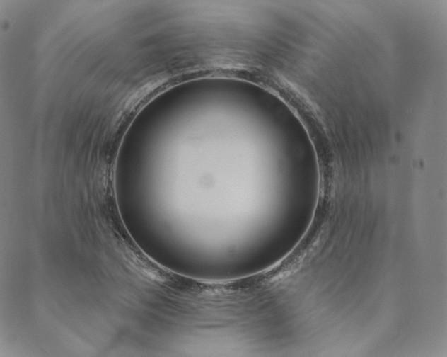 X0000089881169200706281342