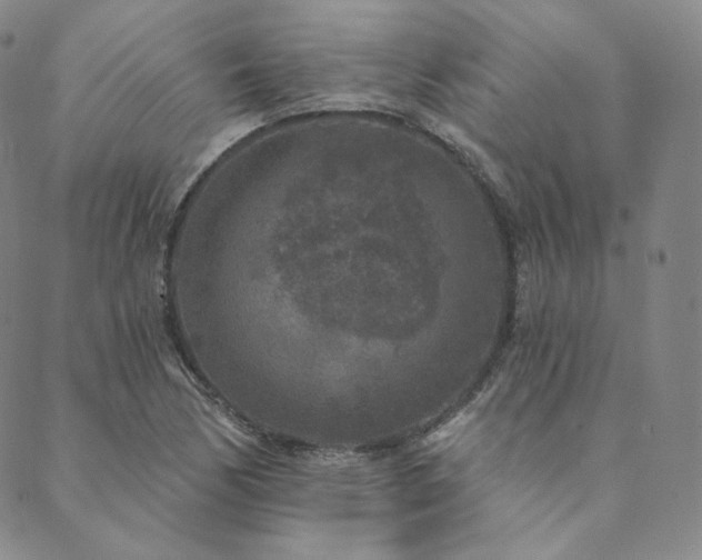 X0000089881170200706281342