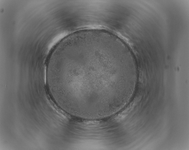 X0000089881171200706281342