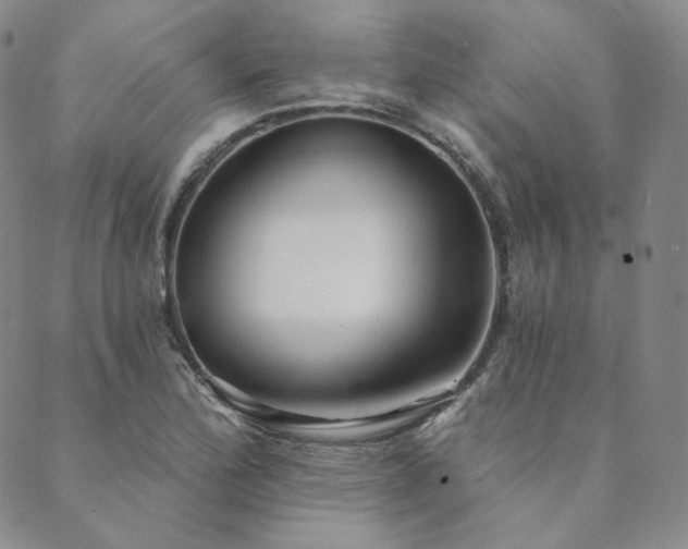 X0000089881172200706281342