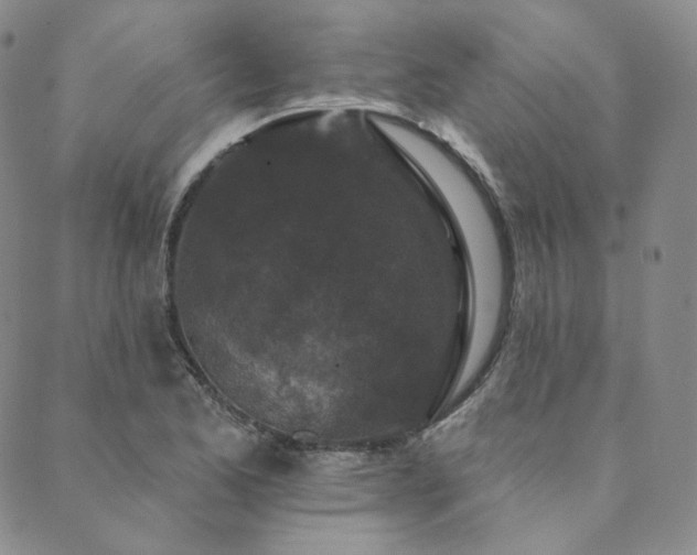 X0000089881173200706281342