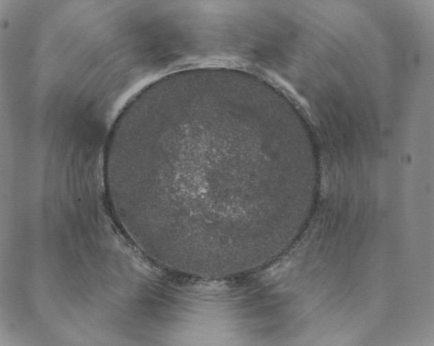 X0000089881174200706281342