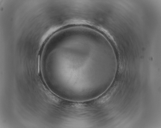 X0000089881175200706281342