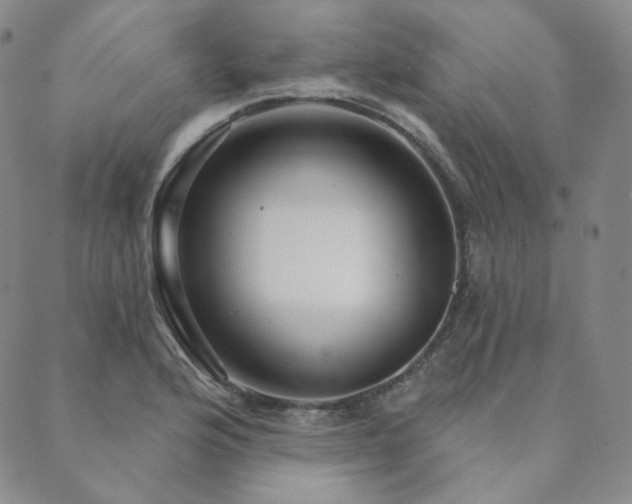 X0000089881176200706281342