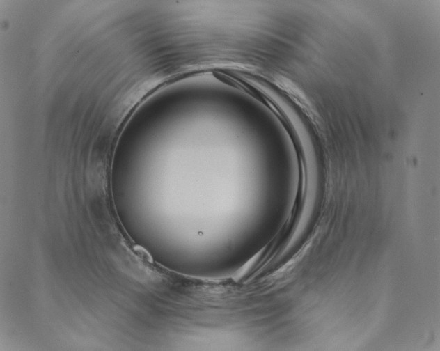 X0000089881177200706281342