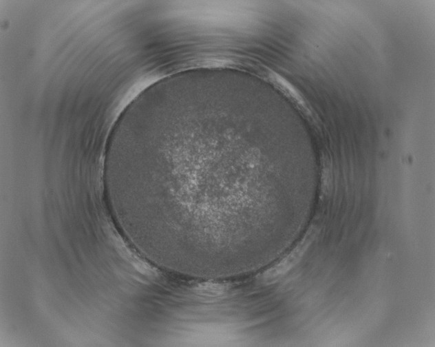 X0000089881178200706281342