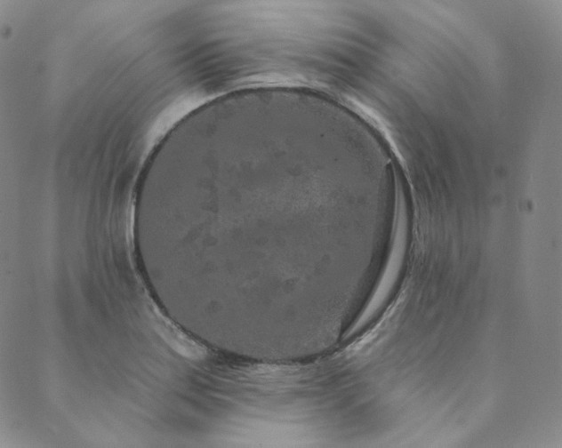 X0000089881179200706281342