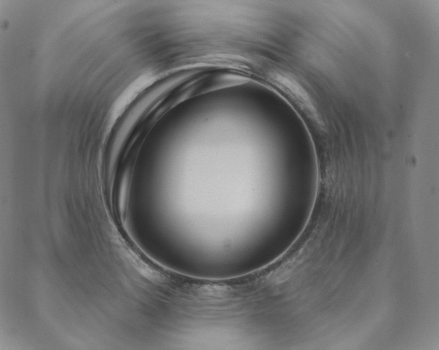 X0000089881180200706281342