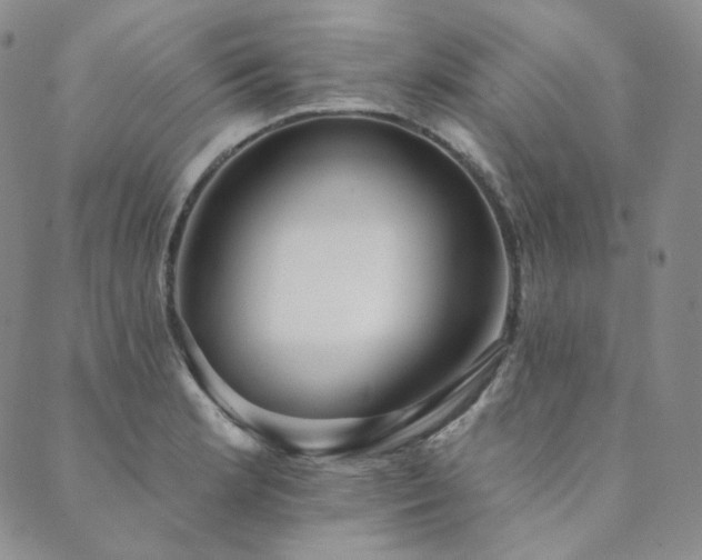 X0000089881181200706281342