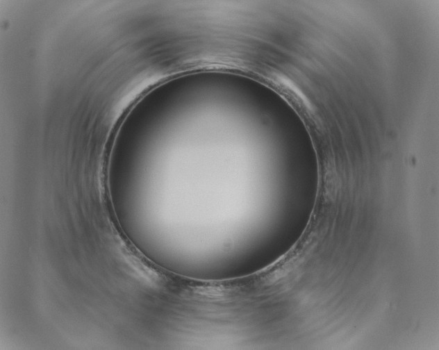 X0000089881182200706281342