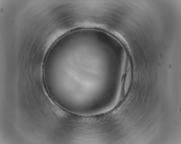 X0000089881183200706281342