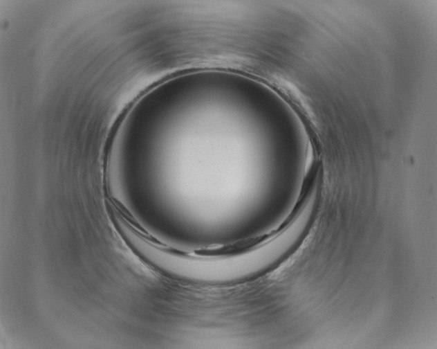 X0000089881184200706281342