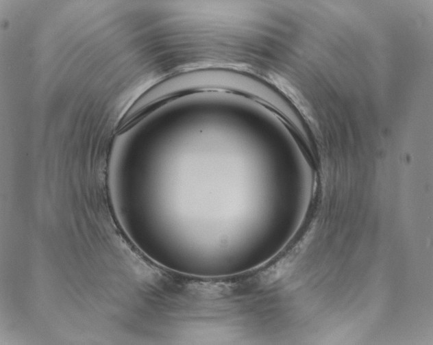 X0000089881185200706281342