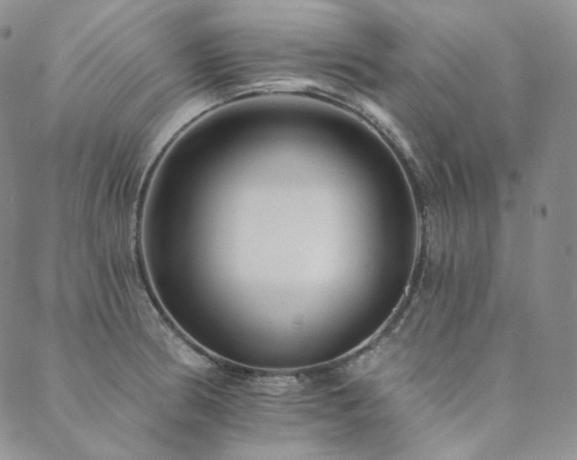 X0000089881186200706281342