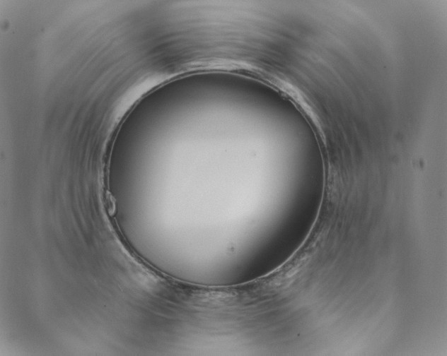 X0000089881187200706281342