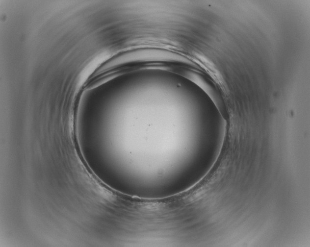 X0000089881188200706281342