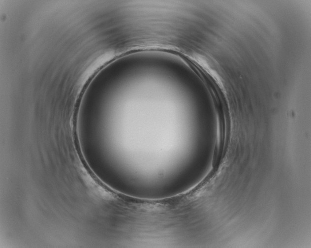 X0000089881189200706281342