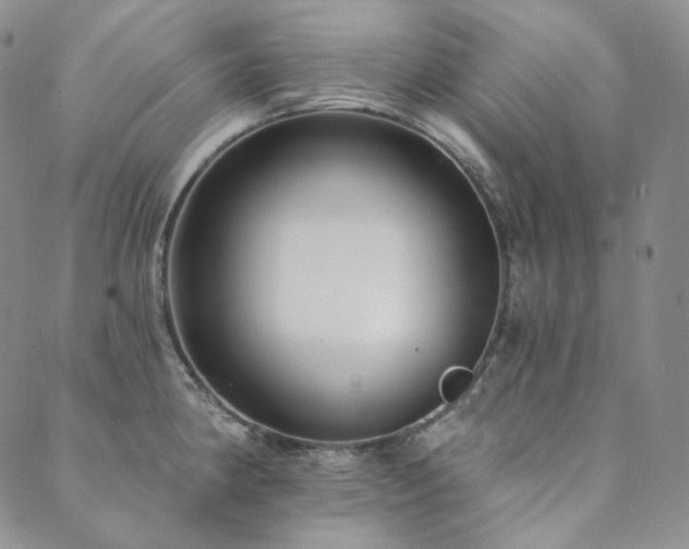 X0000089881190200706281342