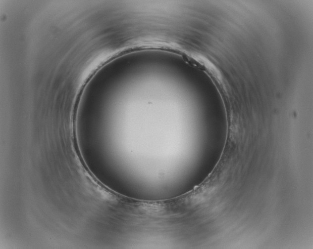 X0000089881191200706281342