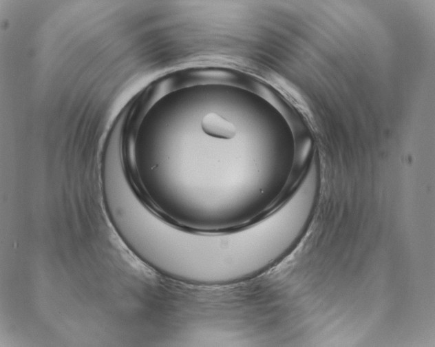 X0000089881192200706281342