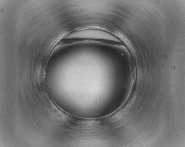 X0000089881193200706281342