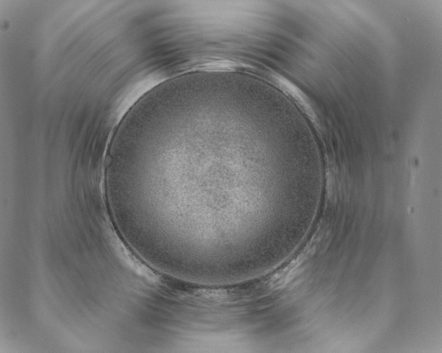 X0000089881194200706281342