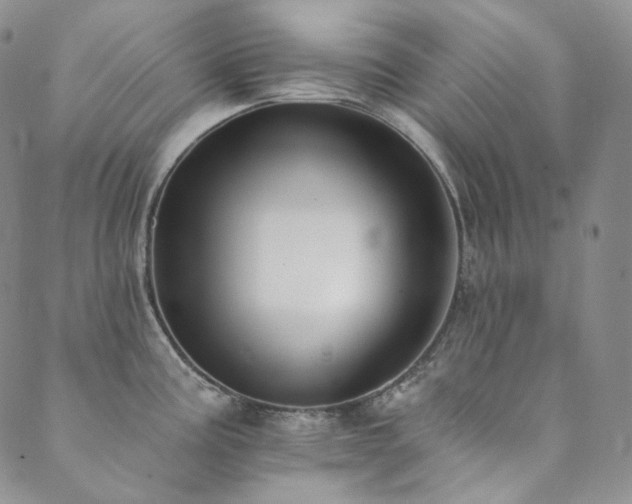 X0000089881195200706281342