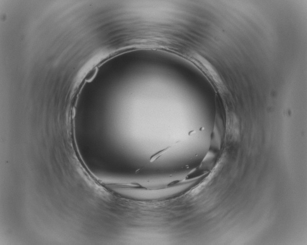 X0000089881196200706281342