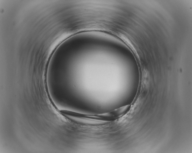 X0000089881197200706281342