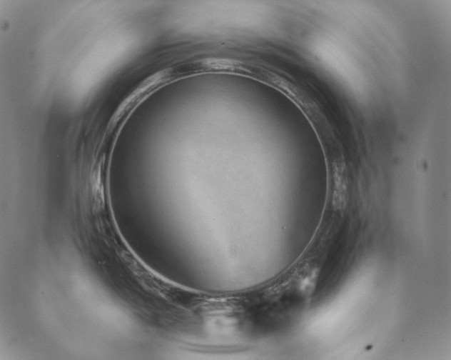 X0000089881198200706281342