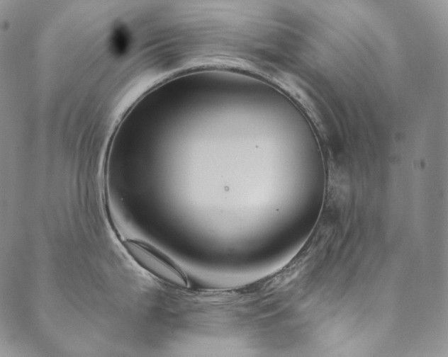 X0000089881199200706281342