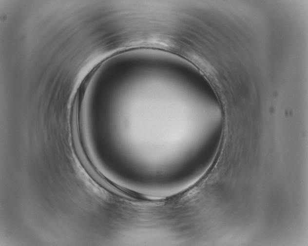 X0000089881200200706281342