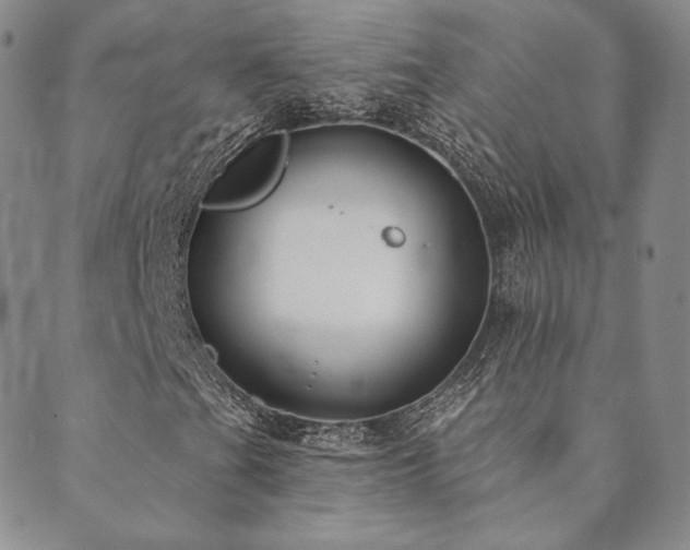 X0000089881201200706281341