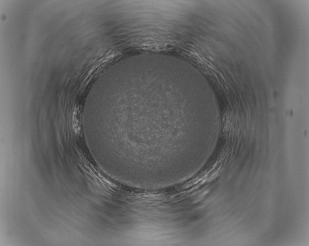 X0000089881202200706281341