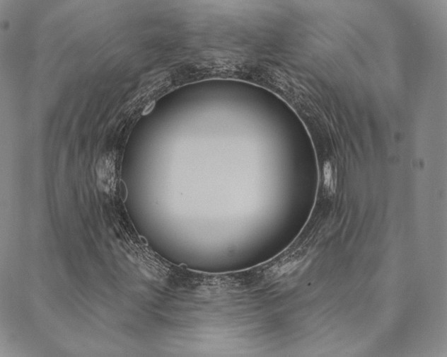 X0000089881203200706281341