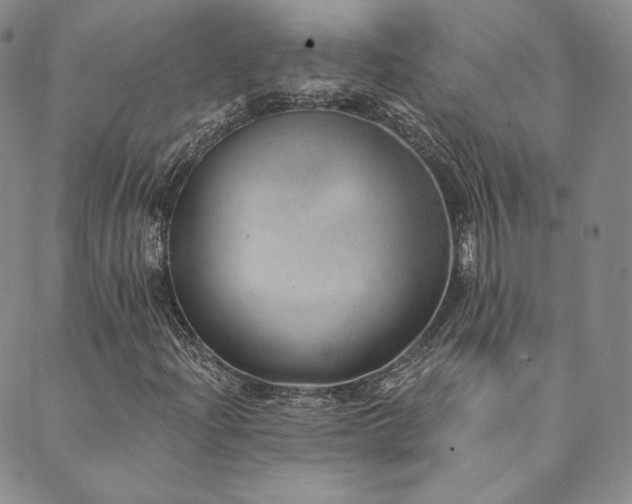 X0000089881204200706281341