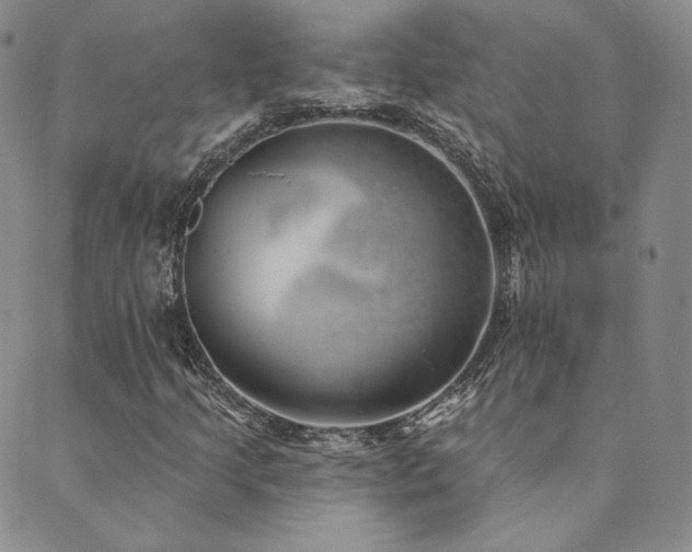 X0000089881205200706281341