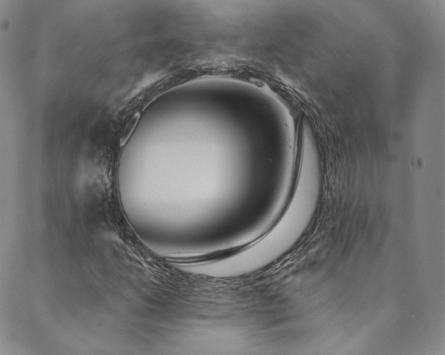 X0000089881206200706281341