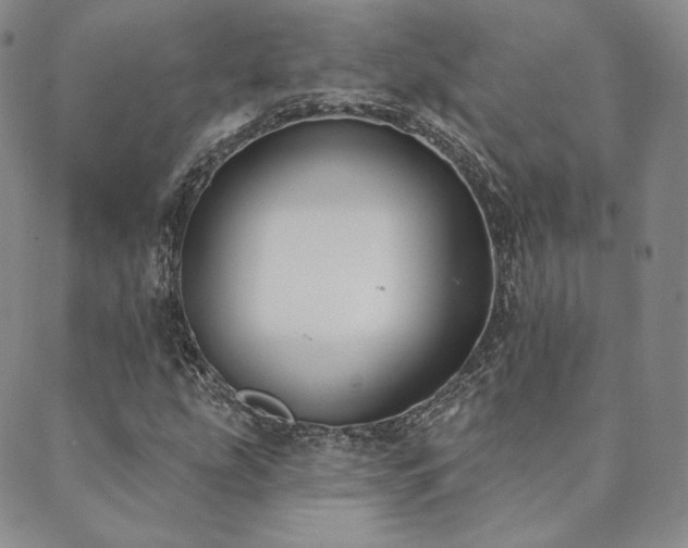 X0000089881207200706281341