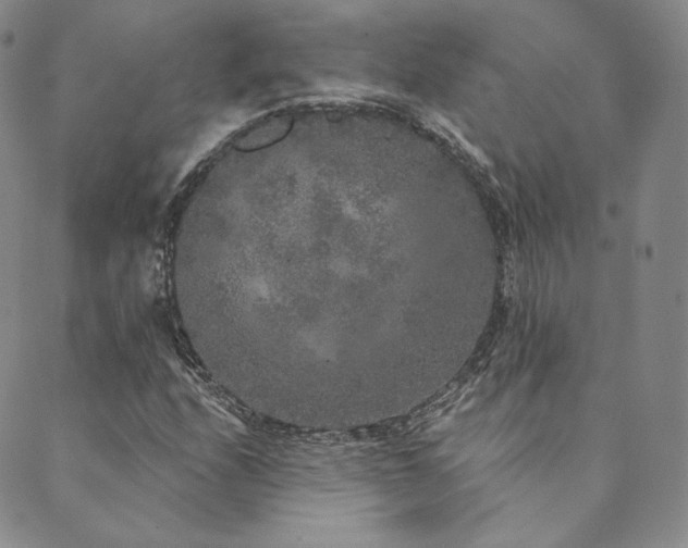 X0000089881208200706281341