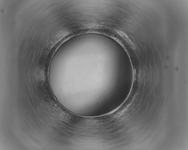 X0000089881209200706281341