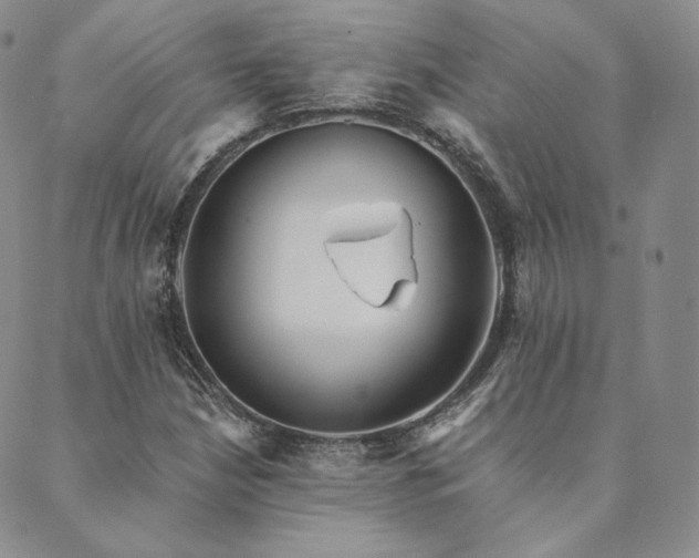 X0000089881210200706281341