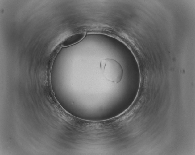 X0000089881211200706281341