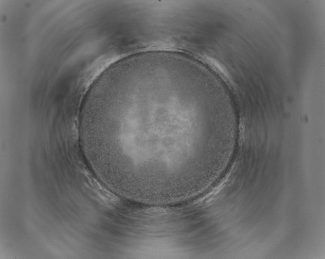 X0000089881212200706281341